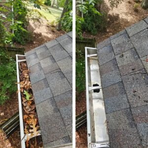 Gutter Cleaning