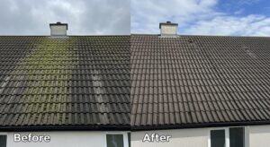 Roof Cleaning