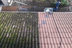 Roof Cleaning