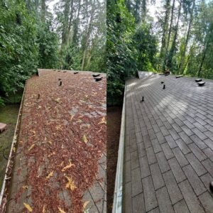 Roof Cleaning Harrogate