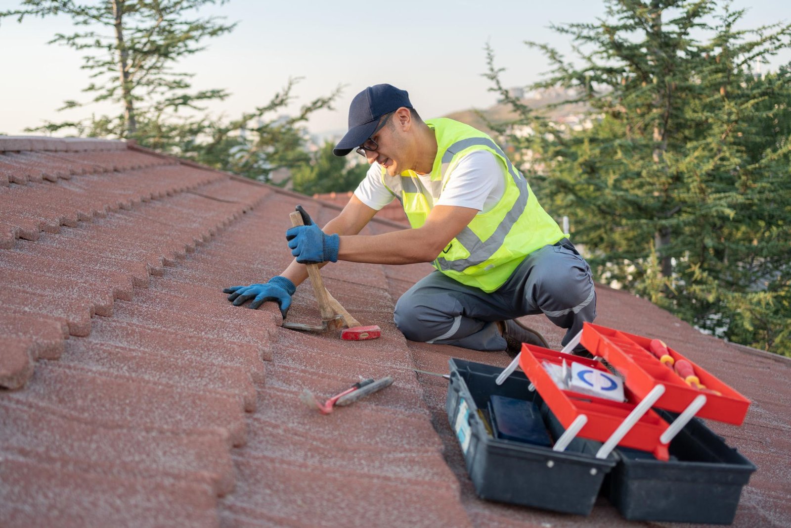 The Complete Guide to Roof Moss Removal in Harrogate