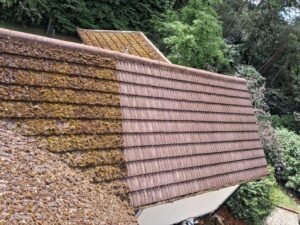 Roof Moss Removal
