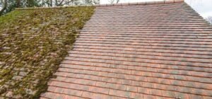 Roof Moss Removal