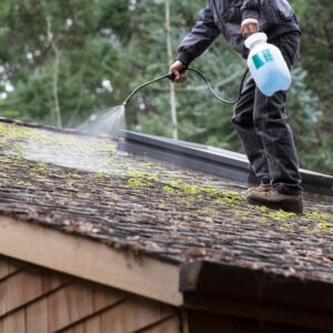 Roof Moss Removal