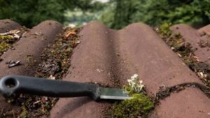 Roof Moss Removal