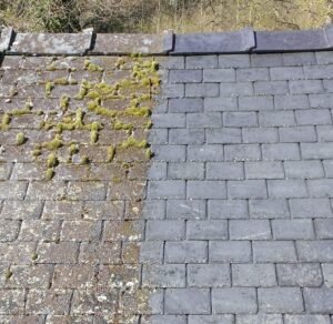 Roof Moss Treatment