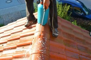 Roof Moss Treatment