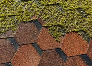 Roof Pressure Washing