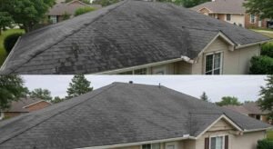 Roof Stain Removal