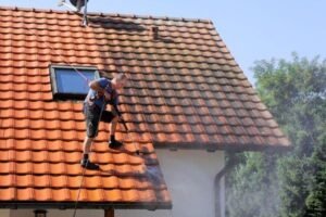 Roof Stain Removal