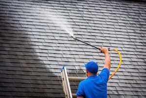 Roof Stain Removal