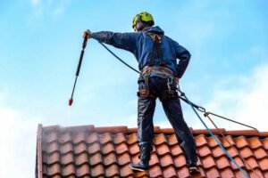 Roof Pressure Washing